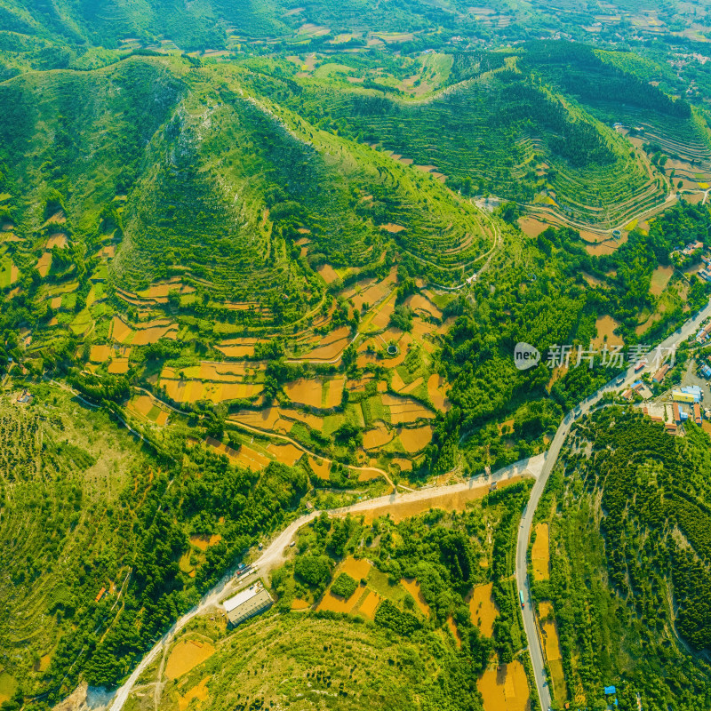 青山风景