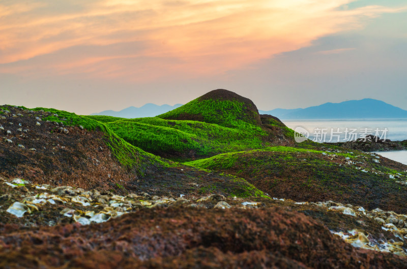 海岸上布满绿藻的岩石，像起伏的山峰