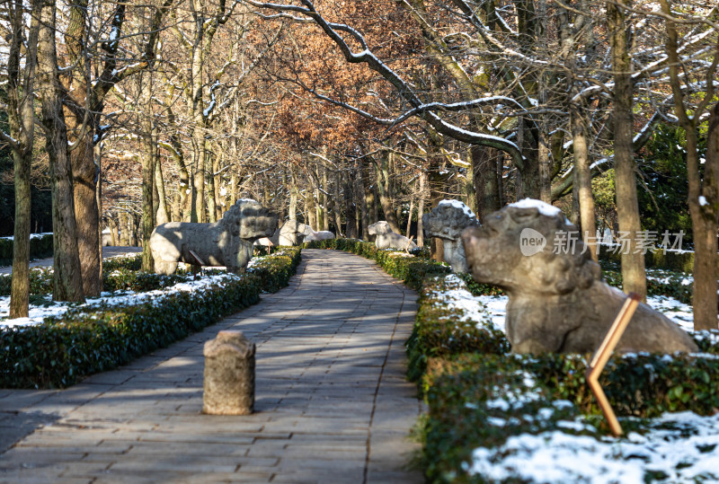 南京明孝陵石象路神道雪景