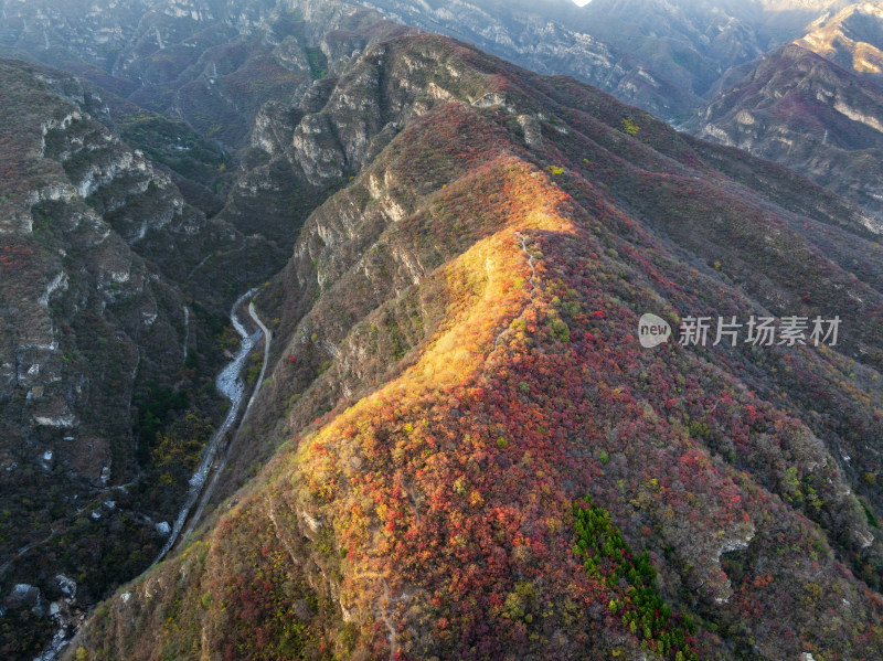 夕阳下北京房山坡峰岭红叶美景