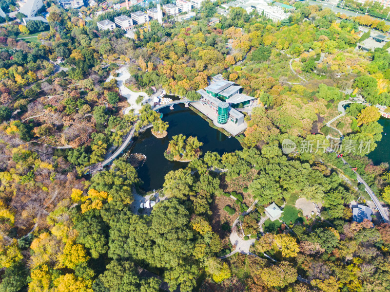 山东济南泉城公园航拍秋天