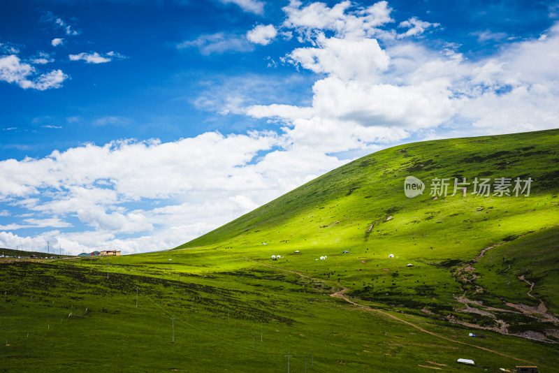 青翠山峦下的广阔草原