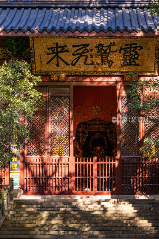 浙江杭州永福禅寺古寺秋景枫树红叶禅意