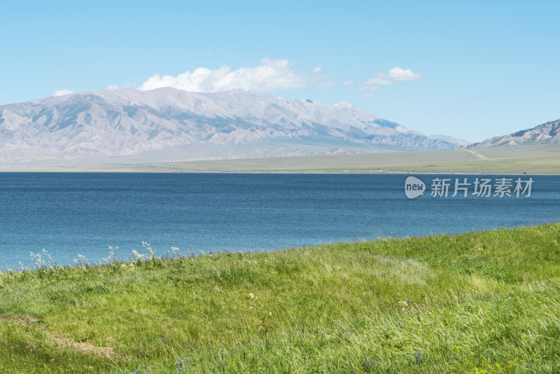 中国新疆赛里木湖夏季风景
