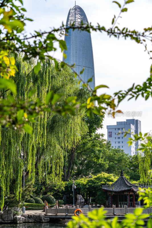 夏天的济南五龙潭公园景观