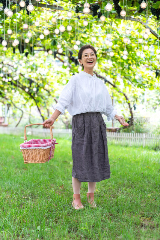 老年女人在果园采摘葡萄