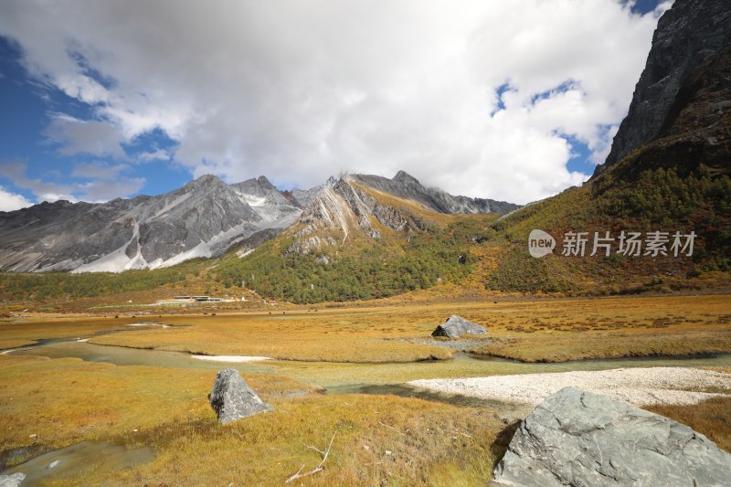 中国四川甘孜稻城亚丁洛绒牛场秋景