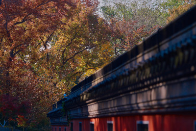 南京栖霞山栖霞寺秋色