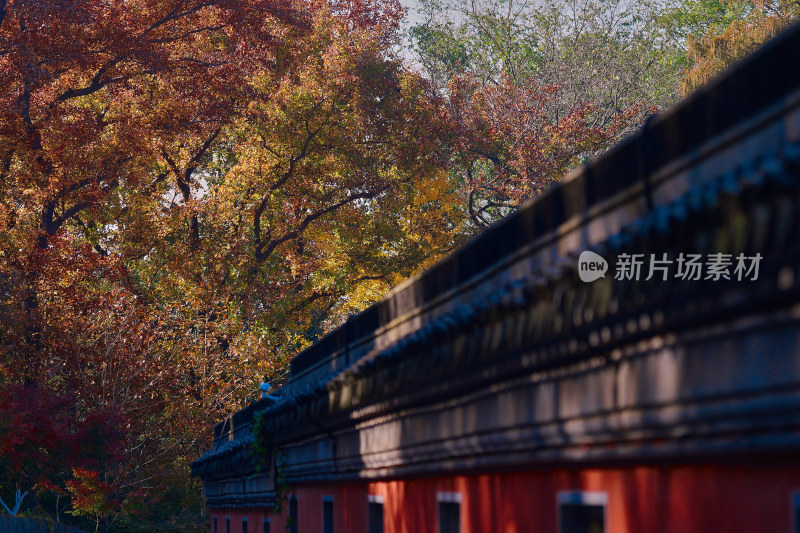 南京栖霞山栖霞寺秋色