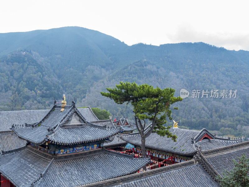 山西五台山菩萨顶禅院