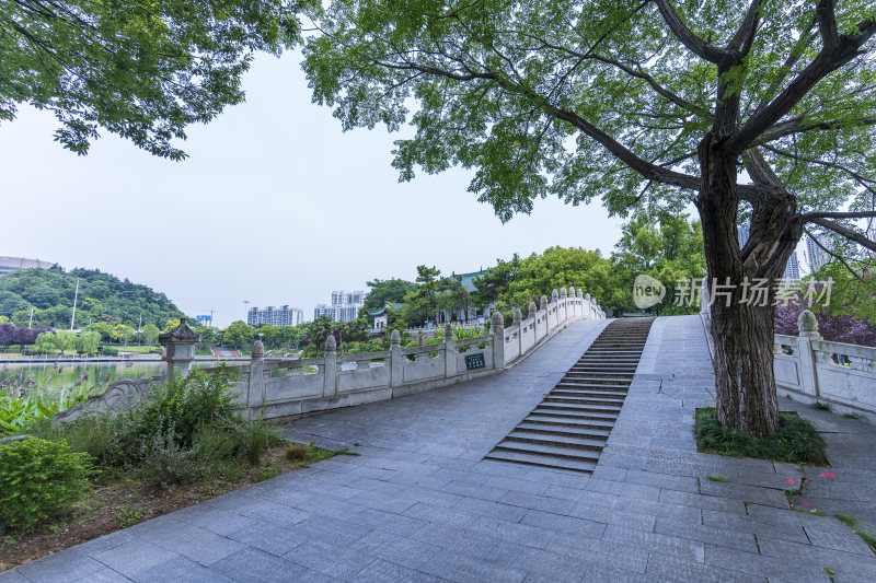 武汉汉阳月湖风景区风光