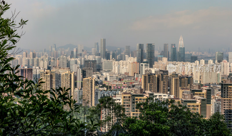 深圳南山区都市建筑风光