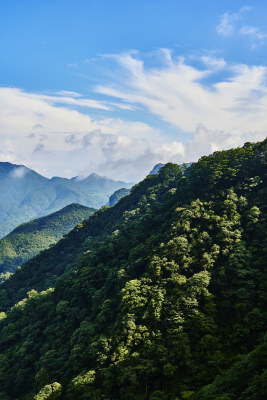 云雾缭绕的金佛山