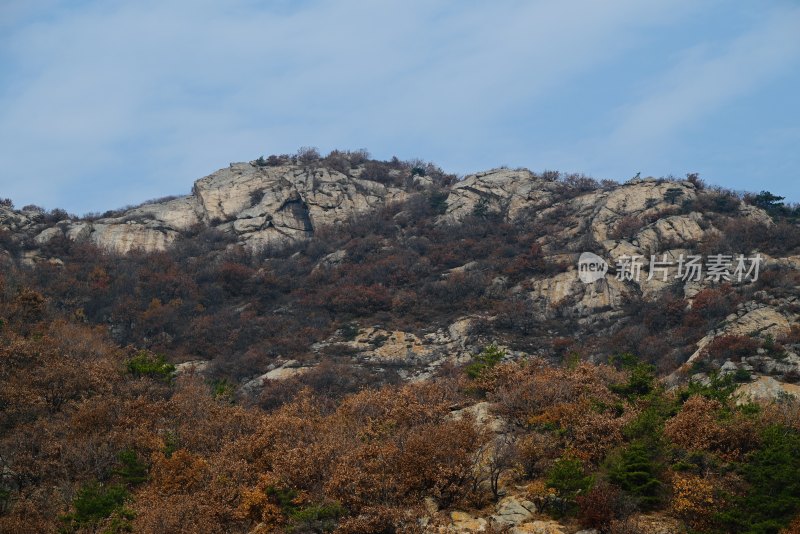 山中秋色