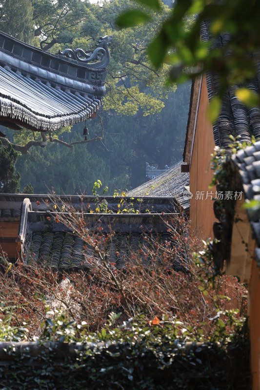 国清寺中式古建筑屋顶绿植景观