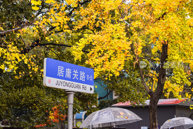 青岛八大关风景区风光