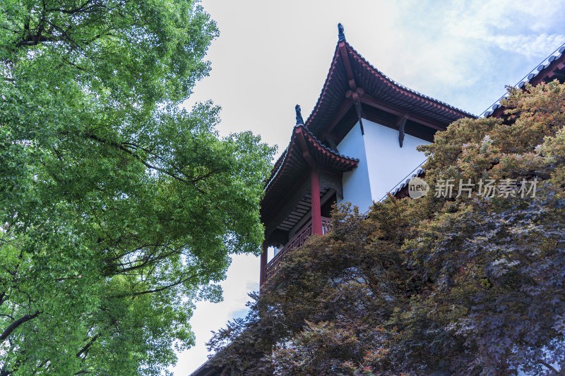 武汉武昌区黄鹤楼公园风景