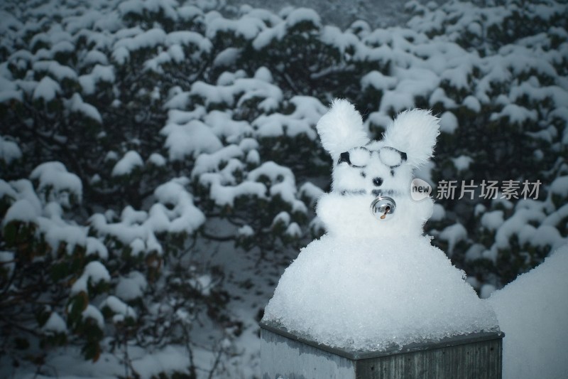 苍山洗马潭景区下雪窗边毛绒玩具与窗外雪景