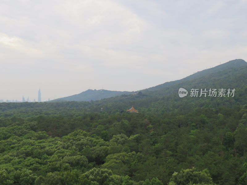 南京紫金山灵谷寺风景区