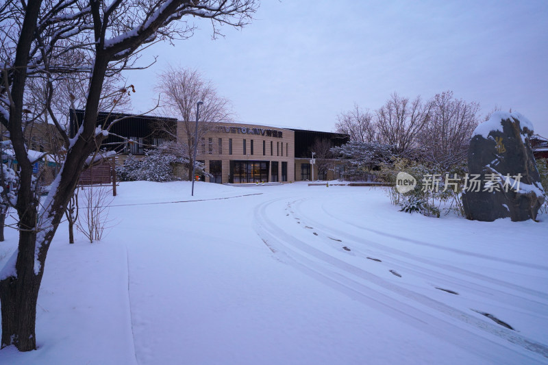 雪后建筑前的雪地景象