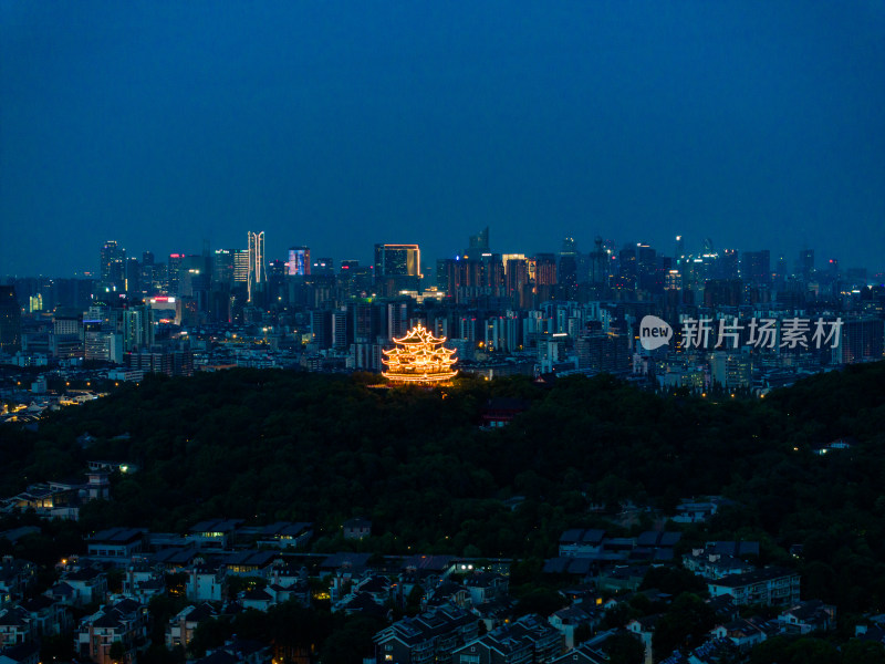 中国杭州西湖城隍阁夜景