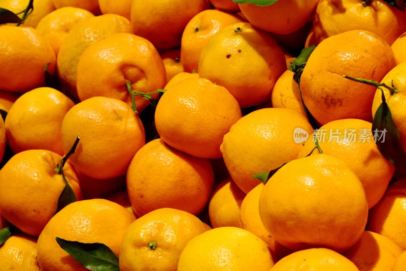 柑橘类水果  耙耙柑