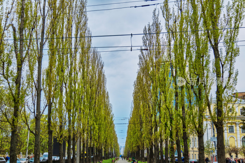 乌克兰基辅城市风光