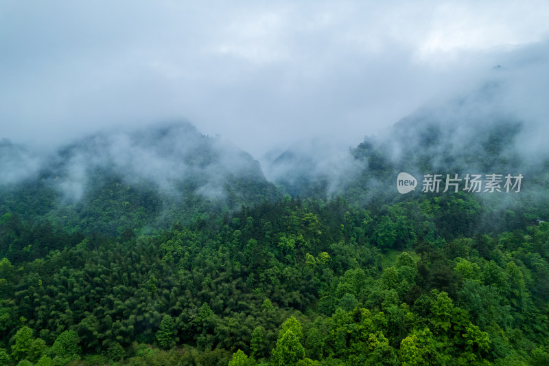 山林云雾缭绕景观