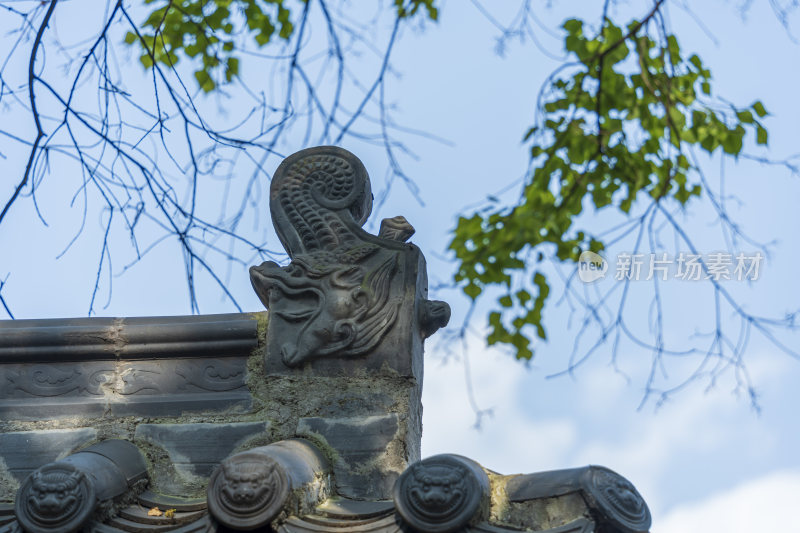 武汉武昌首义公园龙华寺风景