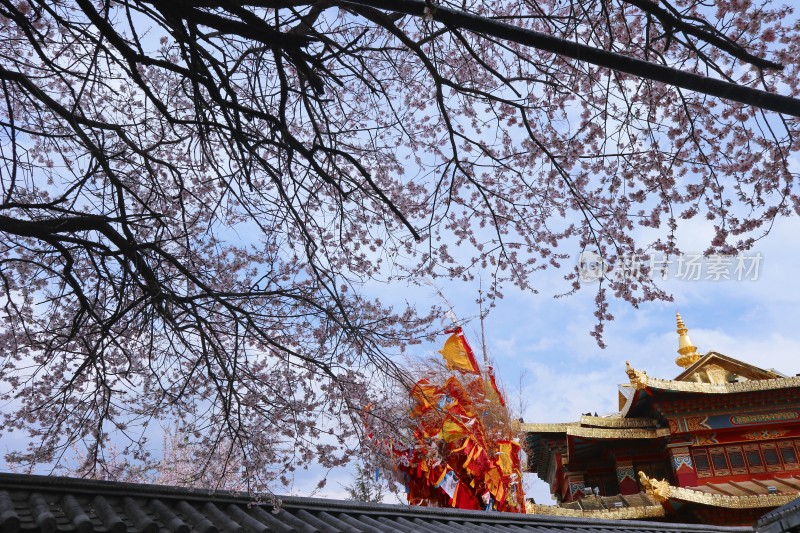 独克宗古城大佛寺