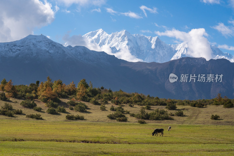 西藏吉隆县乃夏村风景