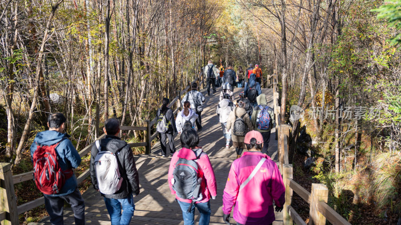 四川九寨沟景区的初秋风景综合