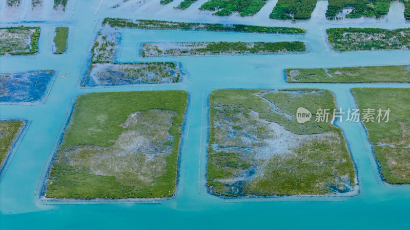 惠州盐洲海洋湿地公园-红树林湿地风光