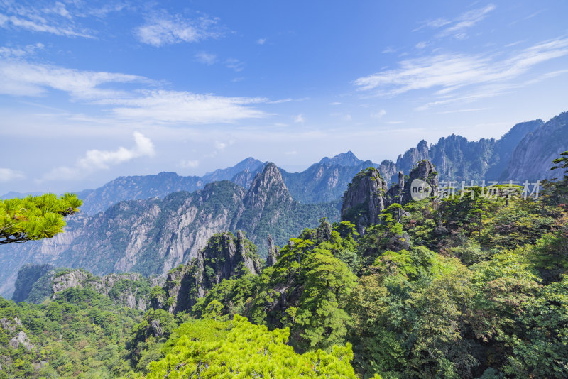 安徽黄山风景区自然风光迎客松 (5)