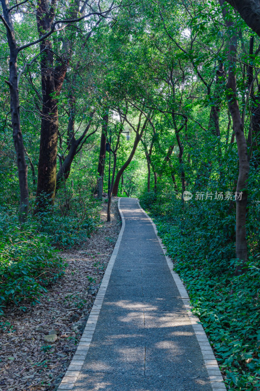 广州雕塑公园林荫休闲步道