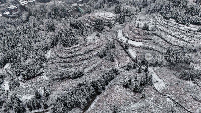 重庆酉阳：大雪纷飞赏雪忙