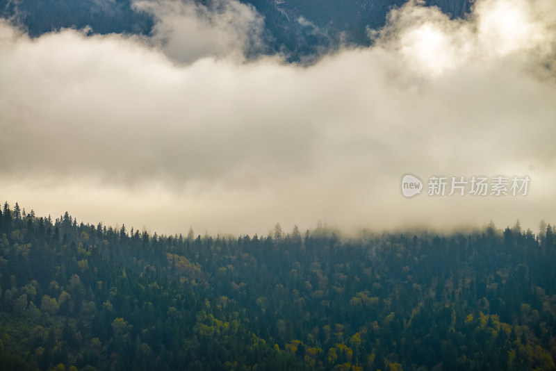 云雾中的森林山峰虎头山