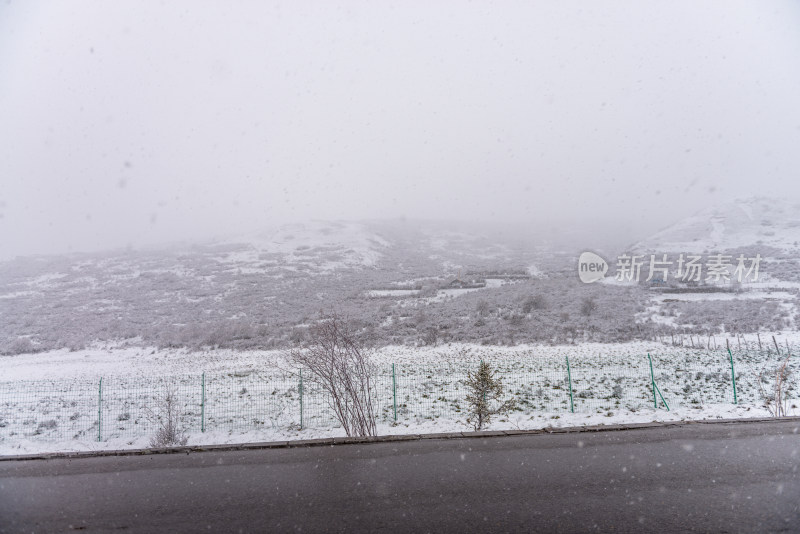 下雪的草原