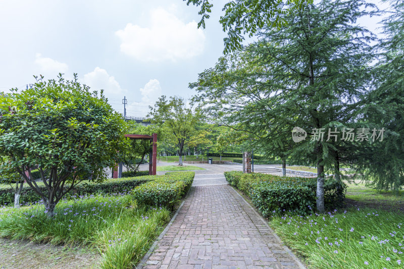 武汉青山区戴家湖公园风景