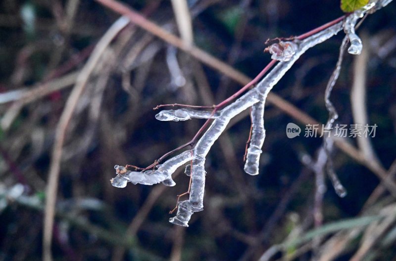 重庆酉阳：一场冰冻游客“醉”