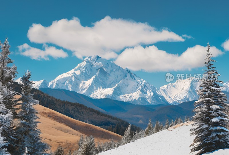 雪山高原草原森林风景