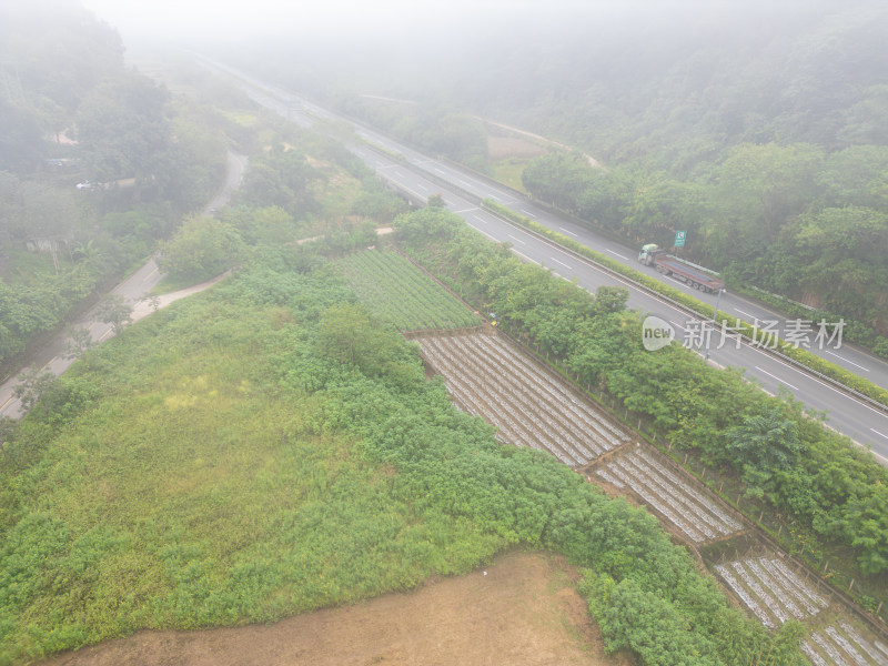 航拍晨雾中的山间公路