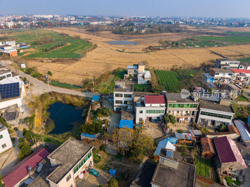 航拍集中农村房屋建筑