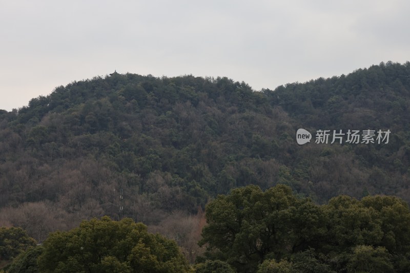 山林植被覆盖全景