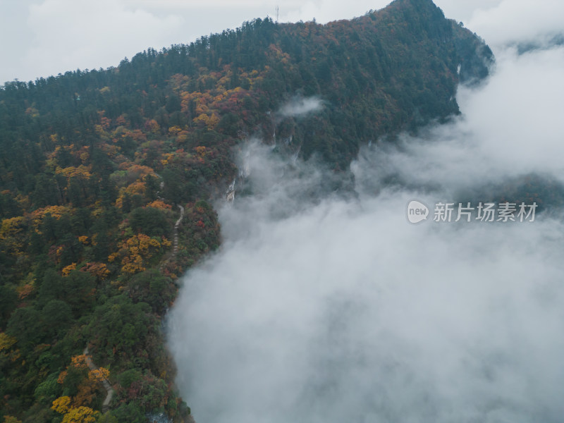 峨眉山雷洞坪航拍景观