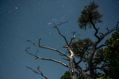 海南五指山热带雨林国家森林公园星空流星