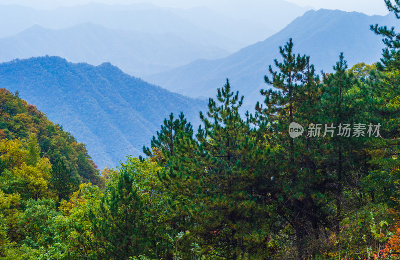 河南省洛阳白云山秋天风景