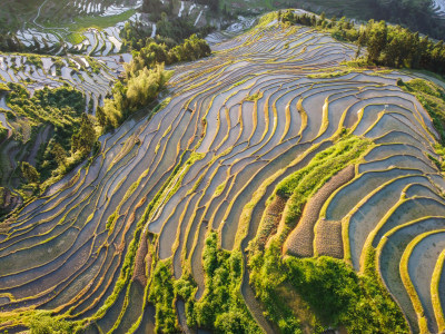 农村梯田风光