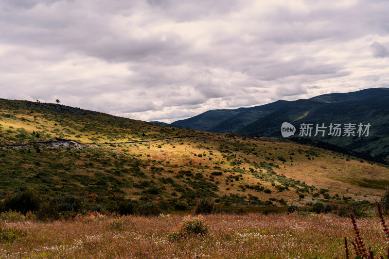 川西草原高山牛马建筑公路美景素材