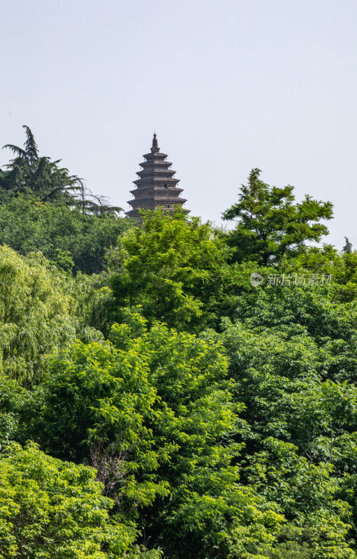 三门峡陕州公园景点景观